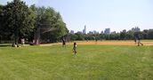 greatlawn2