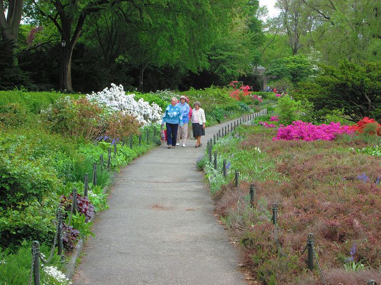 1024px-2014_Fort_Tryon_Park_Heather_Garden