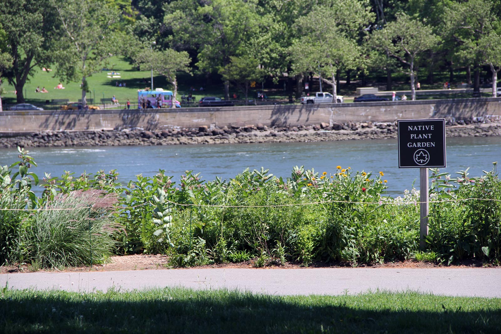 Randall's Island Photo 20 Randall's Island